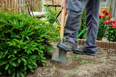 Gardening Work