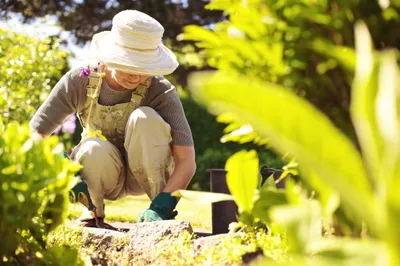 Senior Gardening