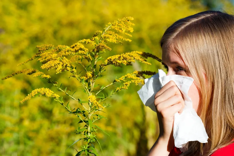 10 Worst Plants for Allergy Sufferers
