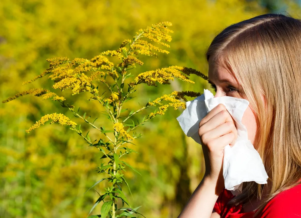 10 Worst Plants for Allergy Sufferers