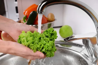 Washing lettuce