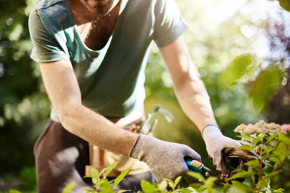 Ways to Prevent Injury When Gardening