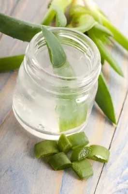 7 Things You Should Know About Aloe Water