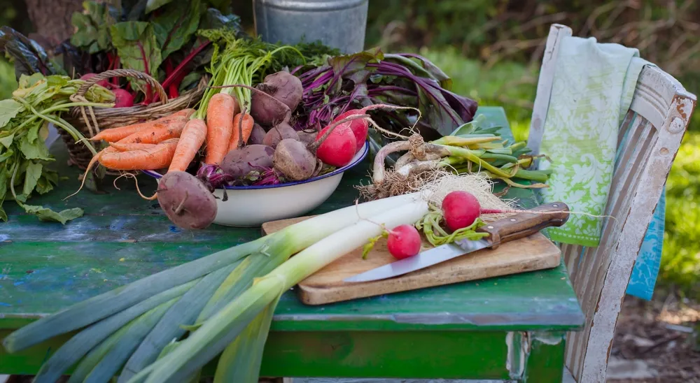 Seis consejos de nutrición para pacientes con enfermedades hepáticas