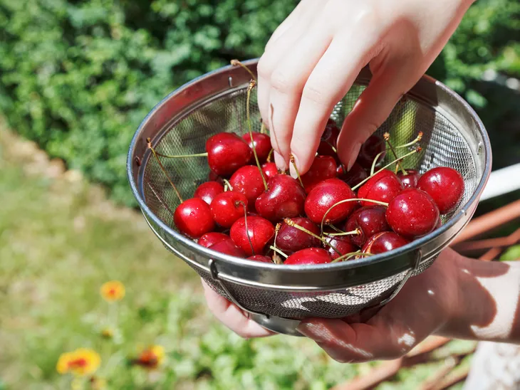 Person holding a bowl of cherries