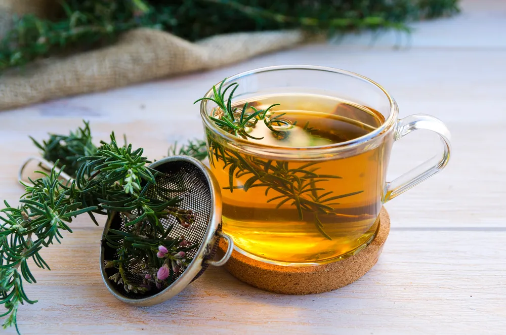 The Incredible Health Benefits of Rosemary