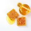 The Incredible Health Benefits of Honey