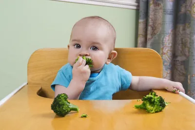 Baby Eating Broccoli