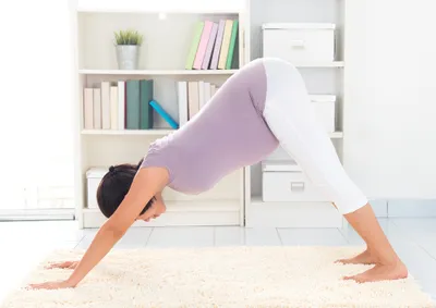 Downward Dog Yoga