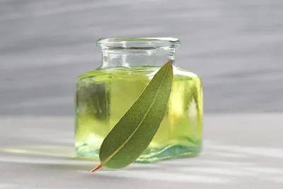 Eucalyptus Oil