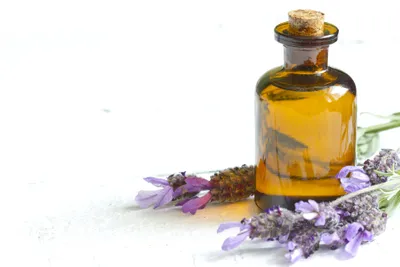 Lavender Oil