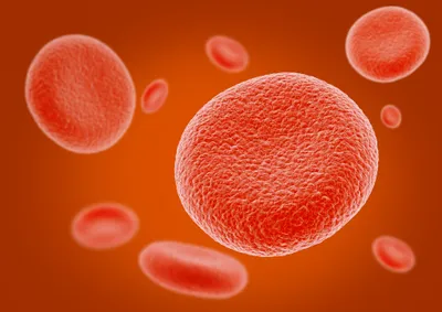 Red Blood Cells