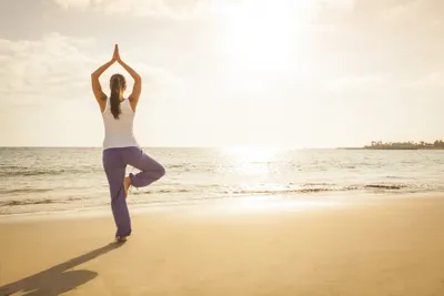 Tree Pose