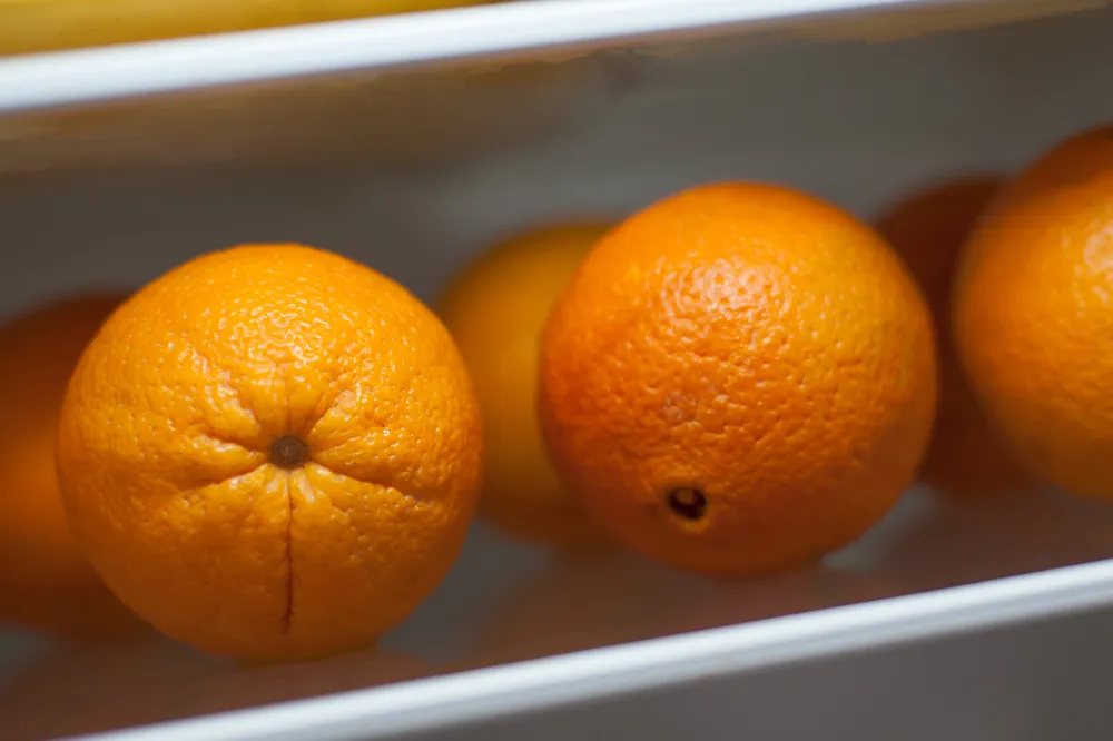 Lebensmittel, die Sie jeden Tag essen sollten