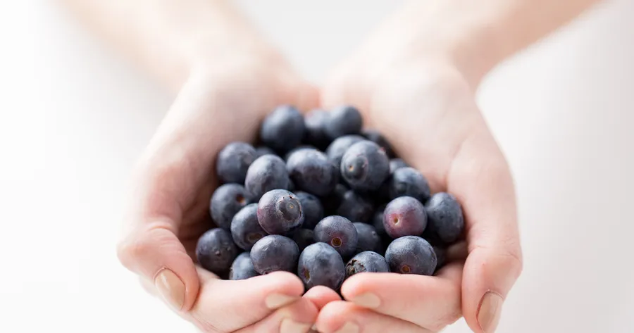 Foods That Fight Fatigue
