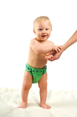 Cloth Diaper