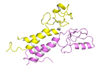 BRCA1 Breast Gene