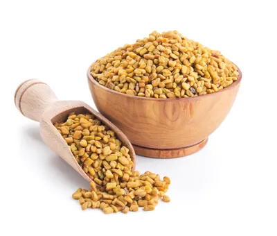 Fenugreek