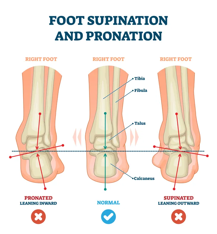 Supination for Athletes