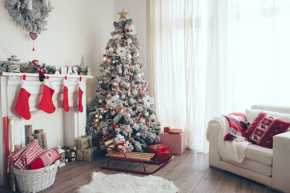 A Real vs. Fake Christmas Tree: Which is Greener?