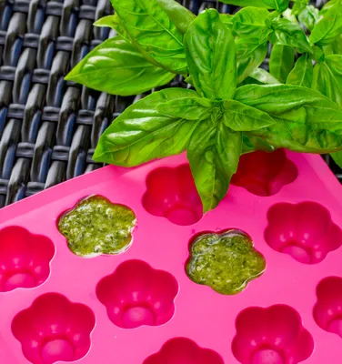 Pesto Ice Tray