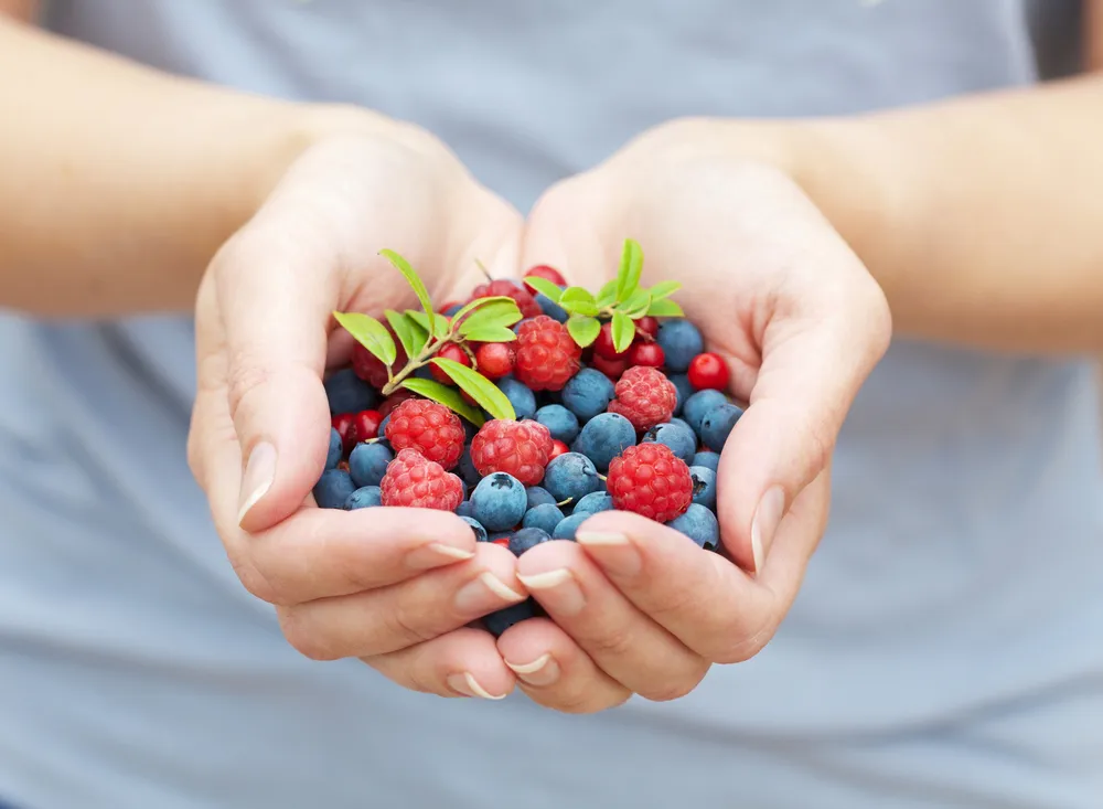 Ocho alimentos que es mejor comerlos crudos