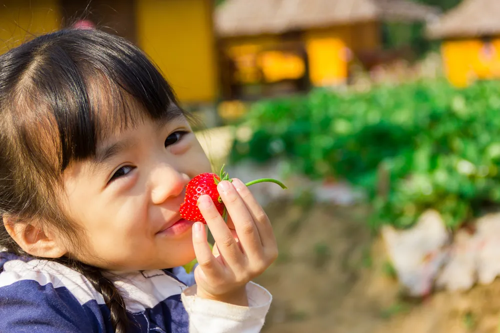 Semez et récoltez ces 6 bienfaits du jardinage sur la santé