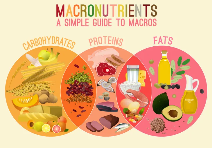 Mastering Your Macros: A Comprehensive Guide to Weight Loss – Hummus Fit