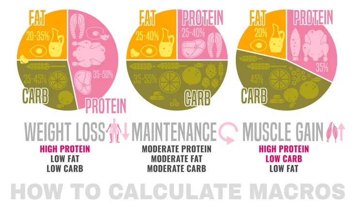 Mastering Your Macros: A Comprehensive Guide to Weight Loss – Hummus Fit