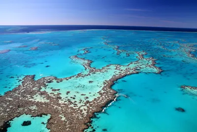 great barrier reef australia