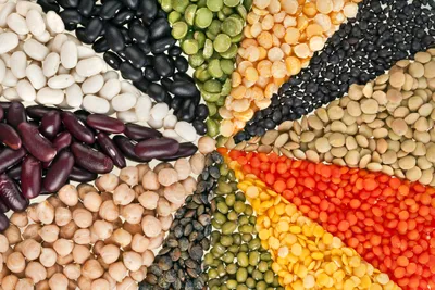 pulses legumes