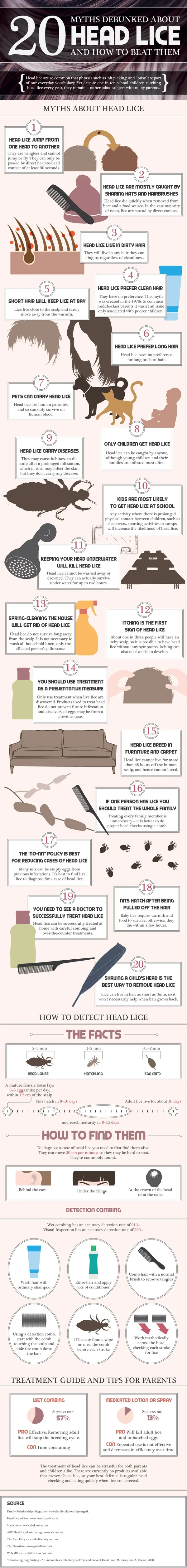 20-facts-about-headlice