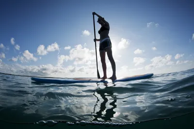 paddleboard