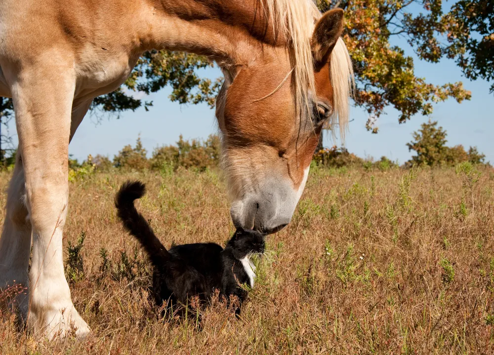 7 Healthy Facts on Friendship to Bond Over