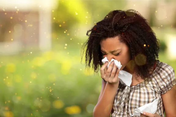 Common Late Summer, Early Fall Allergens