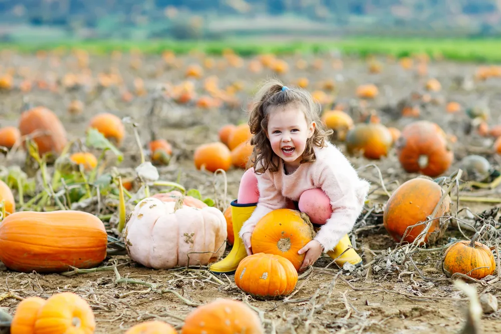 Reasons to Embrace the Health Benefits of Fall