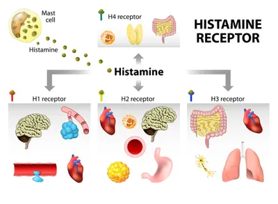 histamines