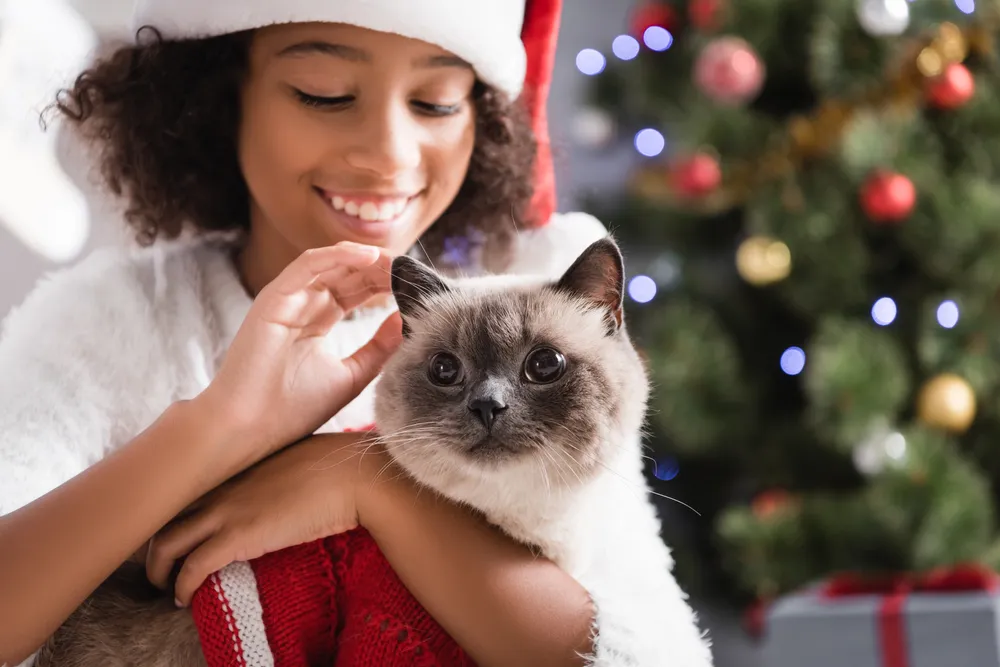 Tips for Adopting a Pet for Christmas