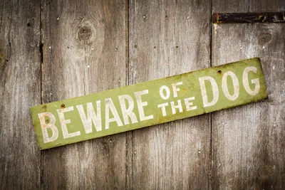 beware of dog