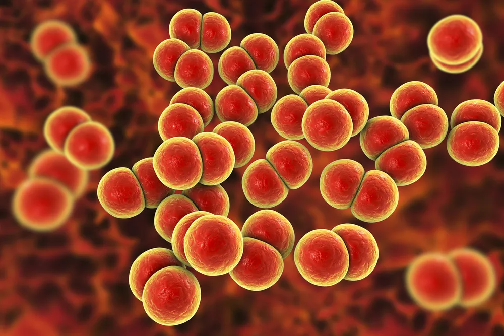 6 Things You Need to Know About Superbugs