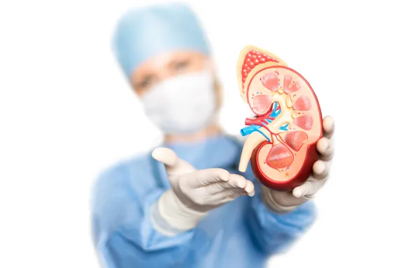 11 sinais e sintomas de uma infecção renal