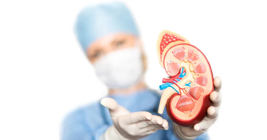 11 sinais e sintomas de uma infecção renal