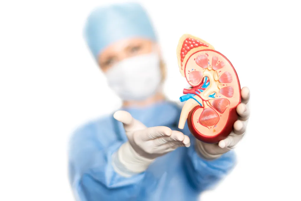 11 Signs and Symptoms of a Kidney Infection – ActiveBeat – Your Daily Dose  of Health Headlines