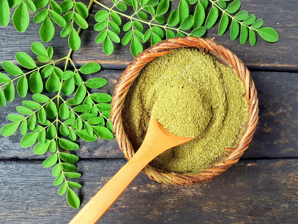 Incredible Health Benefits of Using Moringa Plant