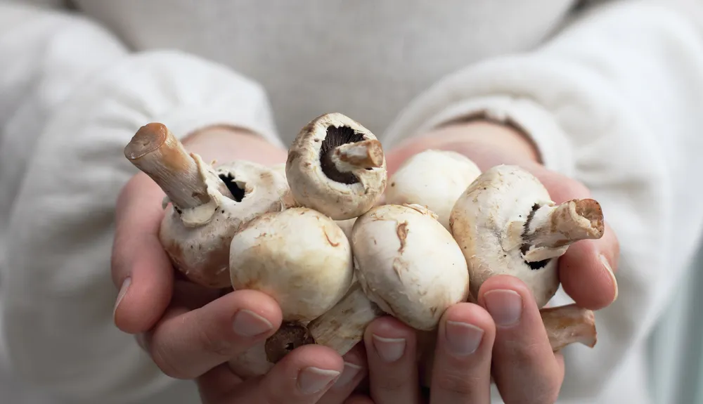 The Incredible Health Benefits of Eating Mushrooms