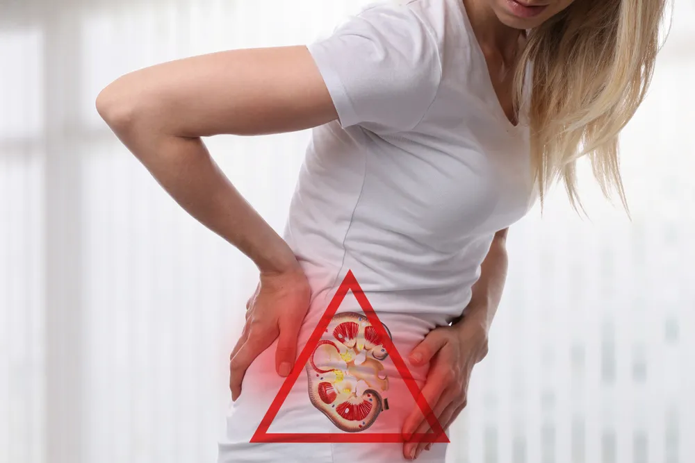 11 Signs and Symptoms of a Kidney Infection – ActiveBeat – Your Daily Dose  of Health Headlines