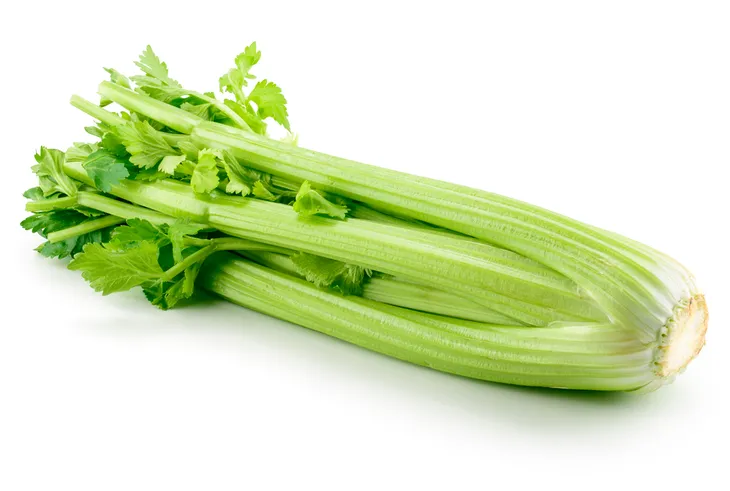 Health benefits of outlet eating celery