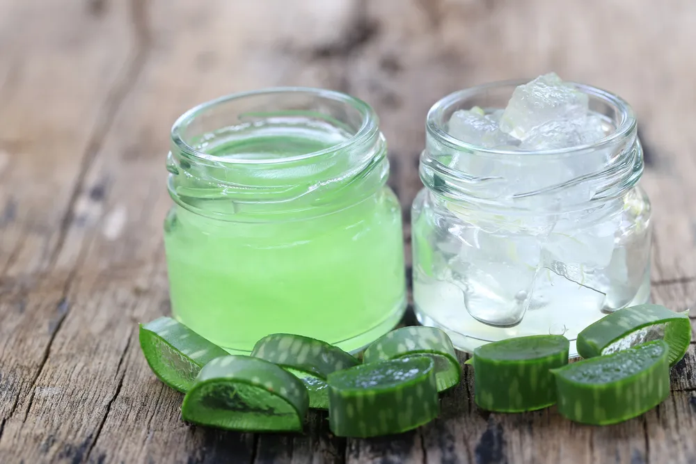 Soothe Sunburn with Homemade Aloe Vera Cubes - The Homespun Hydrangea