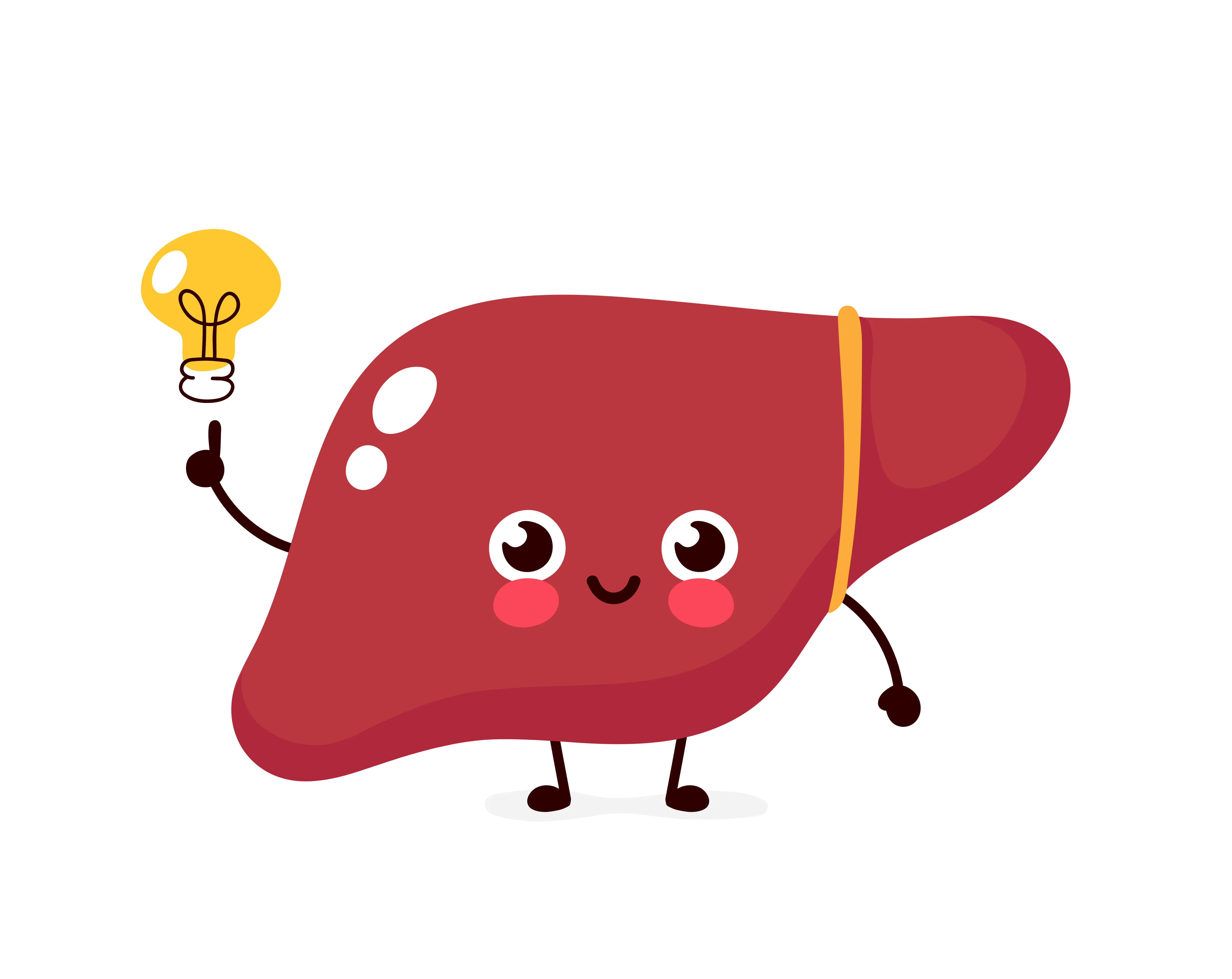 Health Facts About the Liver