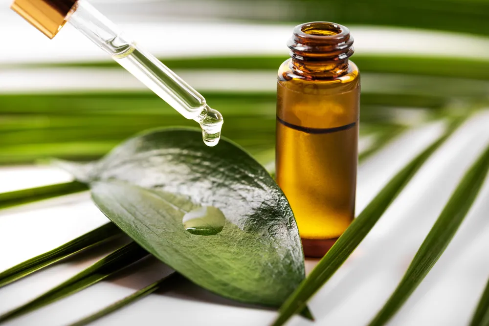 The Incredible Health Benefits of Tea Tree Oil